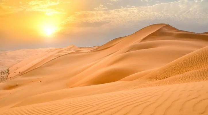 an image of the desert