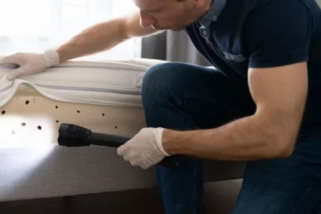 How to avoid bed bugs when traveling