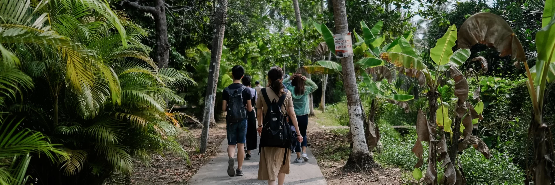 A tourist group walking through the rain forest
