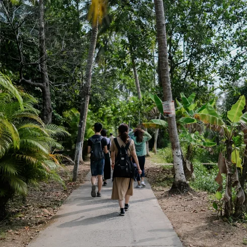 A tourist group walking through the rain forest