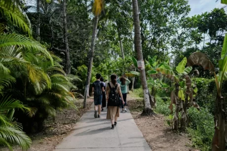 A tourist group walking through the rain forest